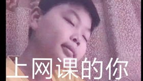 timi一响,网课白讲