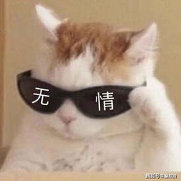 这年头看文都要靠想象,难怪俗话说想象力有多大,尺度就有多大
