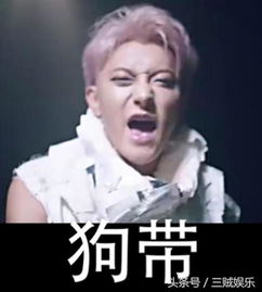 鹿晗张艺兴黄子韬吴亦凡,exo的四个人回国后谁