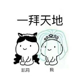 拜天地表情包下载一拜天地系列表情包合集