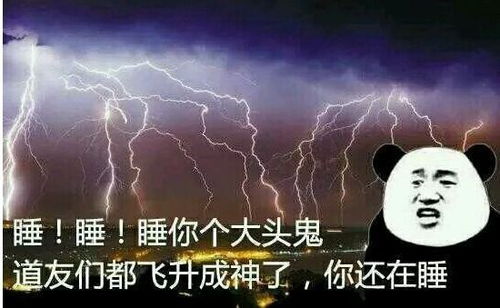 睡觉的表情包搞笑午觉