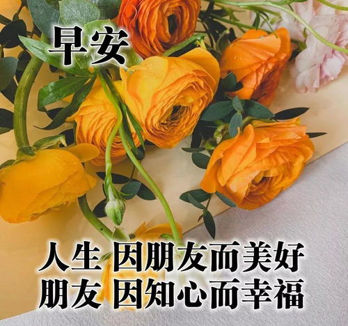 早晨励志心语精选,早上好温馨祝福