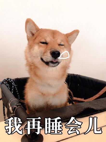 维嘉回应表情包柴犬