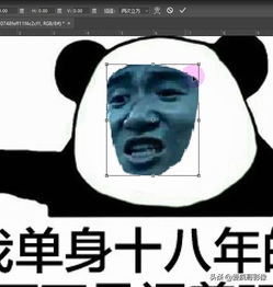 表情包是怎么制作的,看了这篇文章你就知道原来这么简单