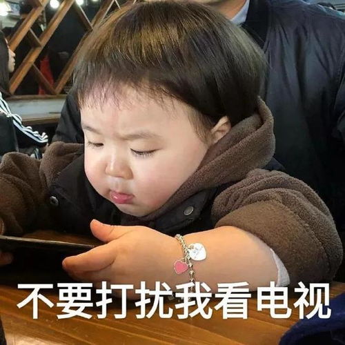 表情包要和我吵架是吗那就比谁打字快呗