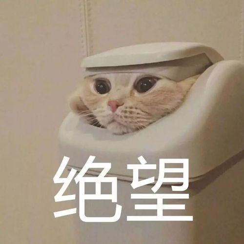 上课听不懂论文不会写让这些实用英国超级学习法拯救你
