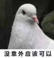 救救我这个拖延症吧