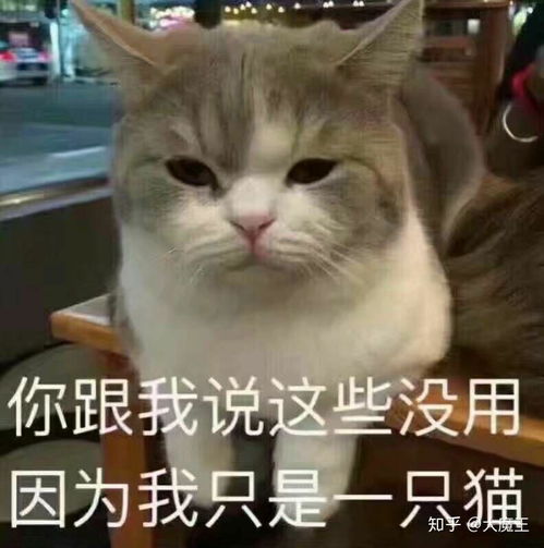 漫展集邮是什么意思