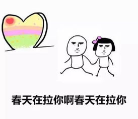 春分时节除了拍照,你还需要做这件事