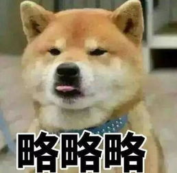 海盗表情包略略略