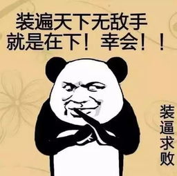 海量表情包仓库持续更新中