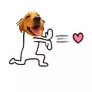 抖音撩妹表情包全套开心一笑