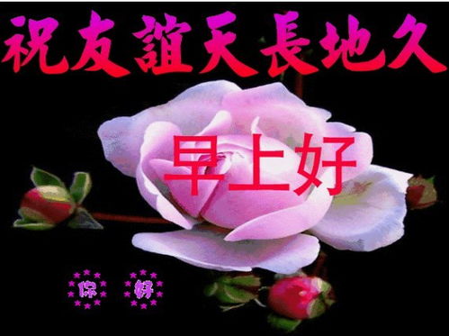 清晨最暖心的祝福语图片,传递最美的心情