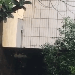 可爱表情包好羡慕呀