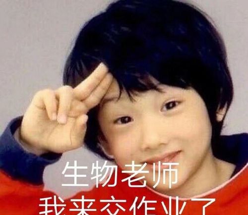 开心一刻你和最熟的老师能熟到什么程度