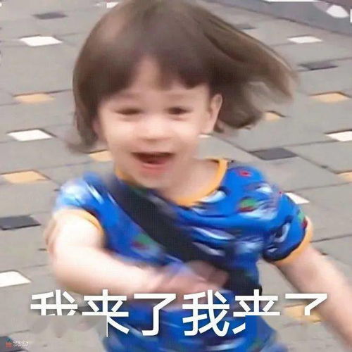 今日份搞笑表情包请接收哈哈哈...