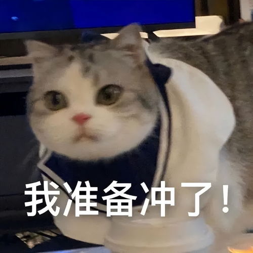47岁舒淇毁容式近照曝光满头白发,是婚后8年不幸福吗