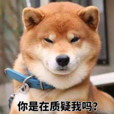 萌宠表情包小老弟你可往后稍一稍