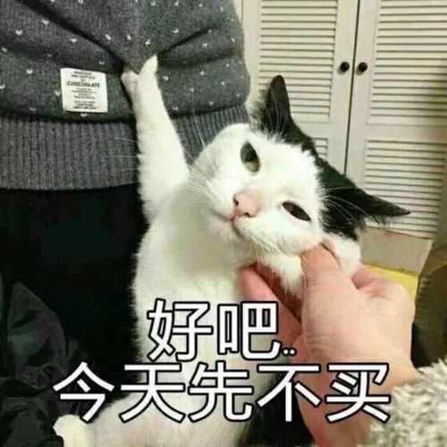 微信麻将一缺三表情包埋头