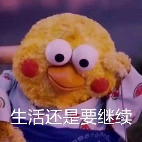 在暑假学车,我敬你skr汉子