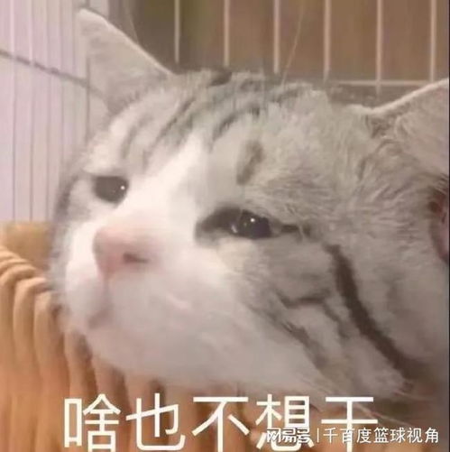 创业失败还欠了一屁股外债是什么体验买根绳太不靠谱