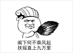 大鹏表情包