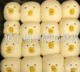 赵丽颖清华大学留影被酸学历低,范冰冰数学差,李连杰不识字都安然无恙小骨还真是招黑体质啊