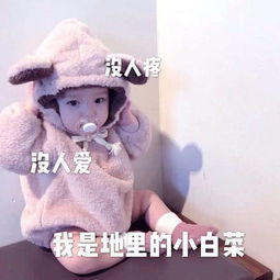 搞笑到爆的表情包没人疼没人爱,我是地里的小白菜