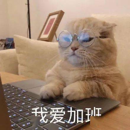 不想加班表情包