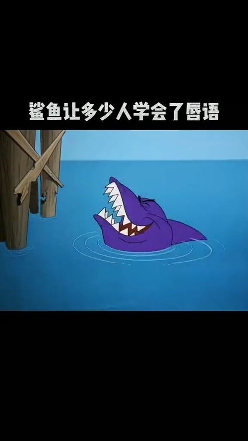 取图主页,鲨鱼让多少人学会了唇语表情包搞笑视频经典段子情侣夫妻搞笑聊天记录猫和老鼠