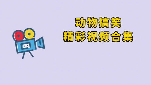 动物搞笑精彩视频大赏,小狗狗抱鸭脖的表情太萌了