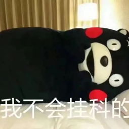 单身二哈结婚爱我,你怕了么