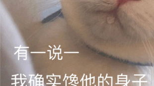 惊小猫咪居然这么凶一觉睡醒感觉窒息下辈子还要养猫金吉拉