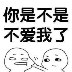 今日份表情包