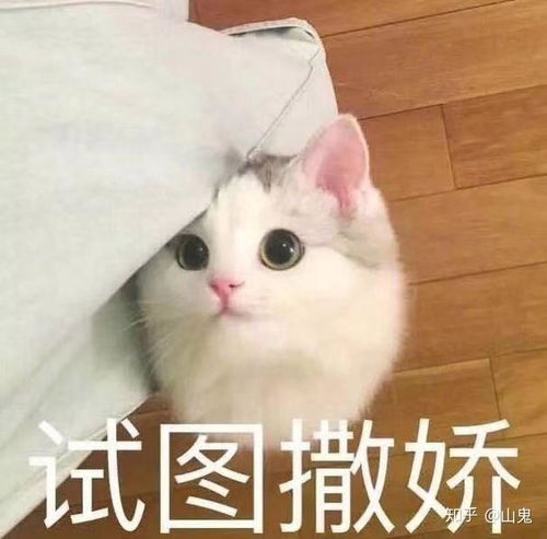 明知不可能有结果的喜欢是不是应该放下