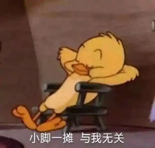 表情包你能拿我怎么样