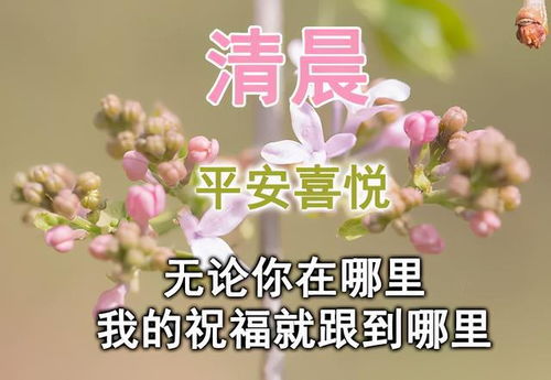 早安问候语阳光句子,早上好问候语唯美图片表情