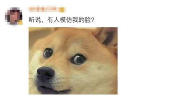 官宣微信上线新表情包教你如何用