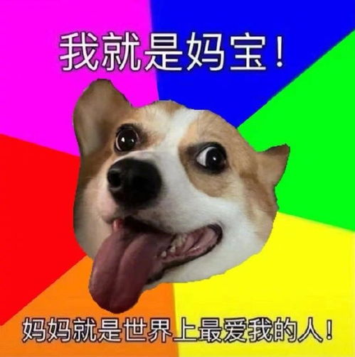 搞笑gif这么脏的水,钓上雨来你会吃吗