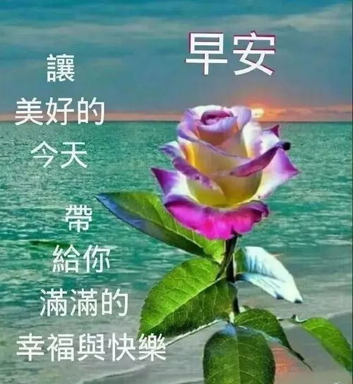 八月份最美早安问候语动态图片,最新漂亮早上好表情动态图