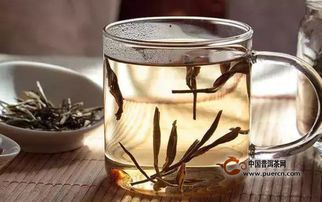 留根闷泡坐杯煮茶,这些喝茶易混的词汇,你搞懂了吗