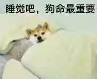 你怎么睡得着觉表情包
