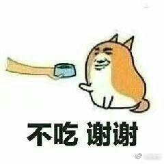 馋嘴喵喵的表情包go