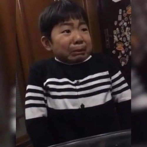 小男孩挑食被妈妈训斥,结果被吓成表情包逗乐网友小戏精附身