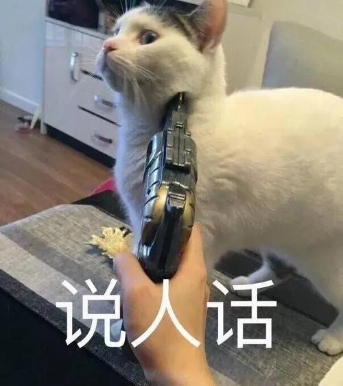 简单表情包图片沙雕