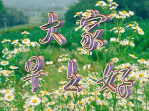 清晨早安祝福语非常漂亮的动态表情温馨的早上好祝福语大全