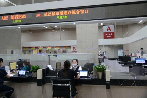 湖北9城这些业务可跨市通办仙桃加入群聊