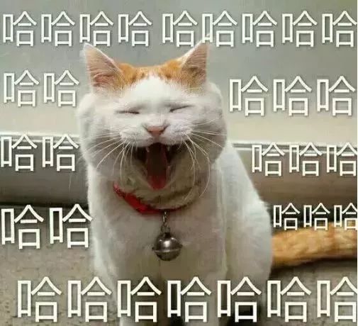 2018年度全国最傻新闻盘点,太好笑了哈哈哈
