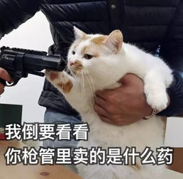 大写的心疼厦门人的这个小长假没了传说中的下开水也来了,更糟糕的是