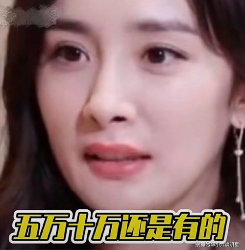 明星有多少财富杨幂余额里五万十万还是有的,李易峰无限挥霍